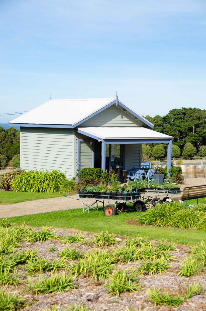 Nobbies View Love the Peninsula