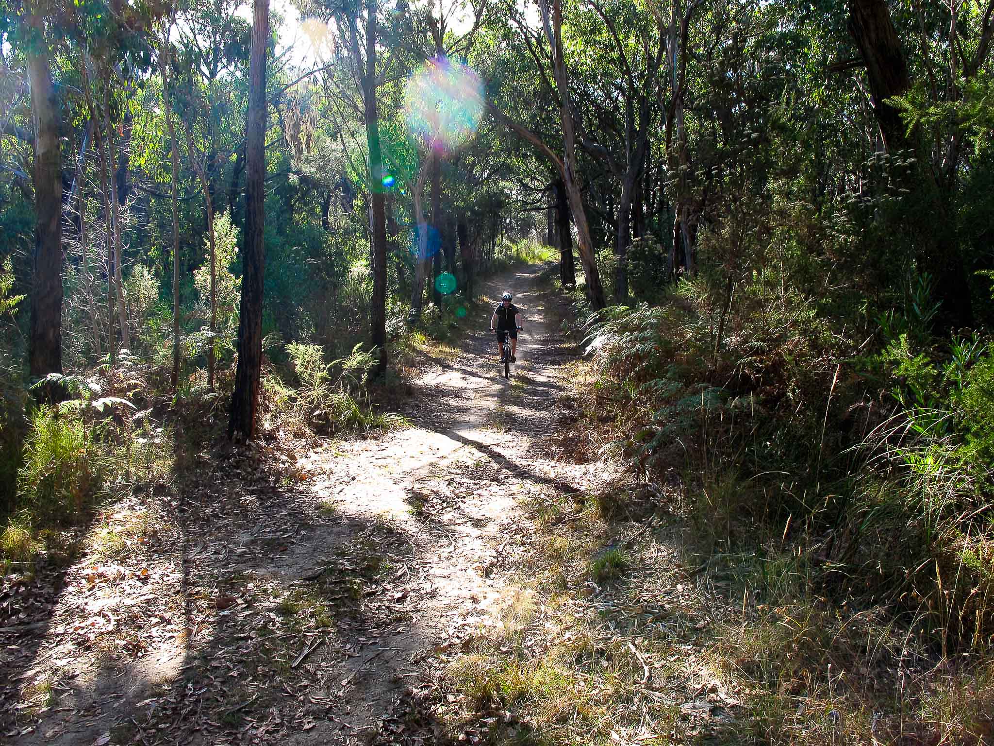 Red hill hotsell skills park