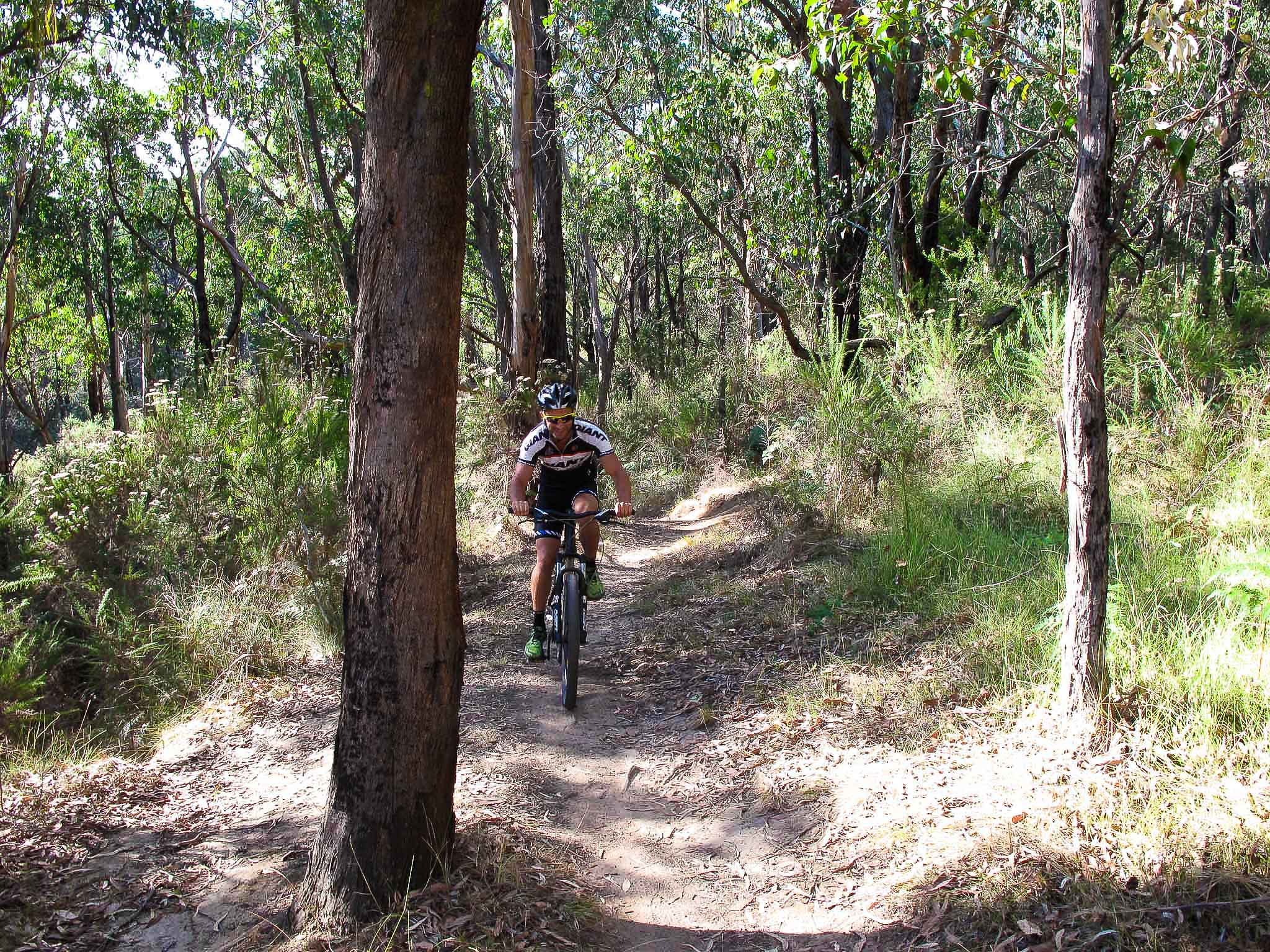 red hill mtb trails