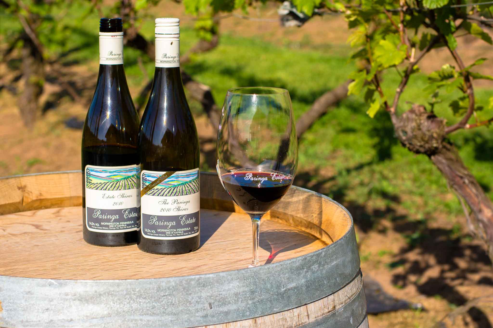 bottles in vineyard