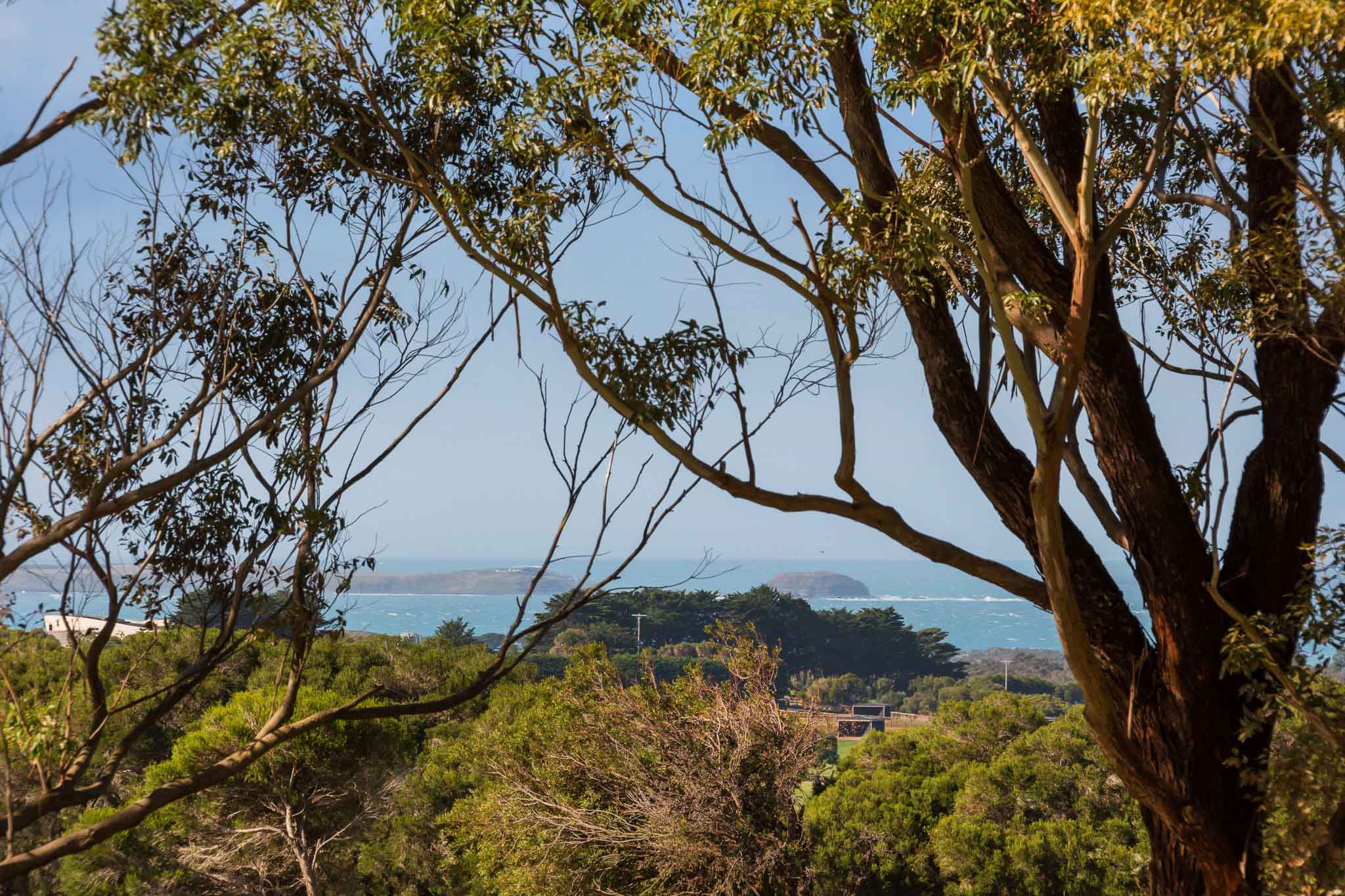 Health Food Store Punchbowl Health Food Store Punchbowl