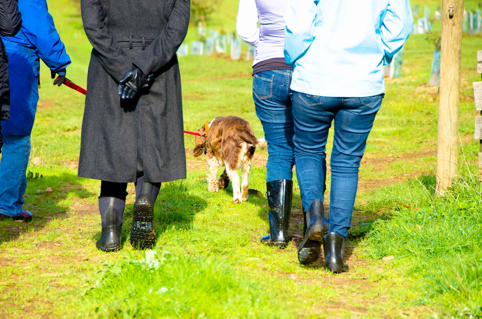 Red Hill Black Gold Public Truffle Hunt Love the Peninsula