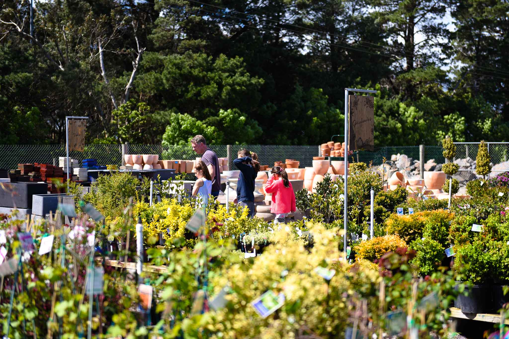 Diaco's Garden Nursery Love the Peninsula