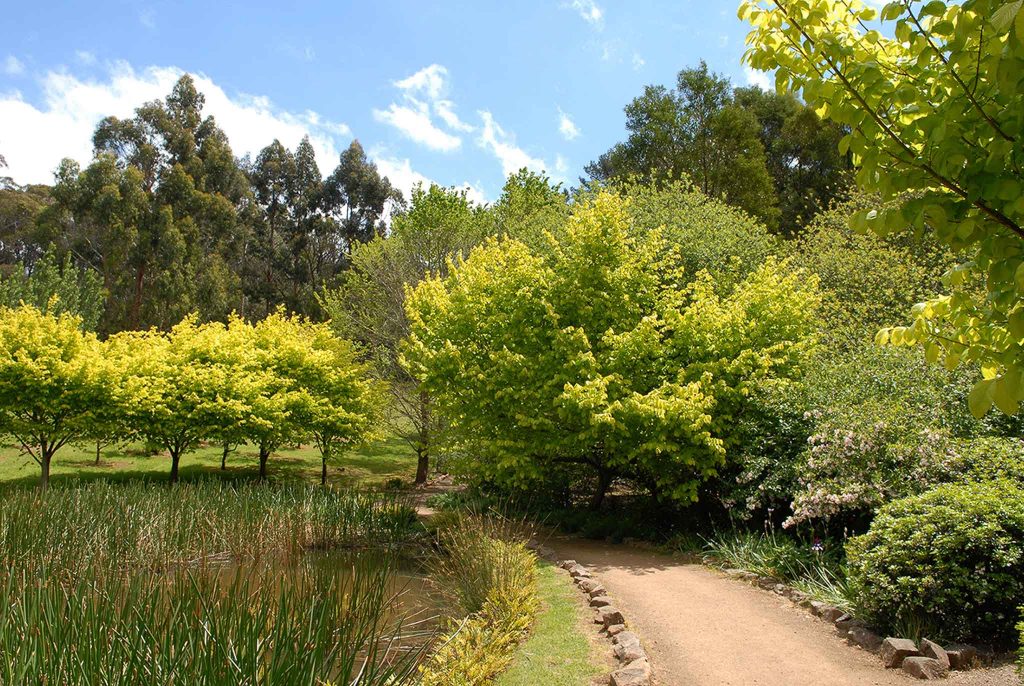 Lindenderry Lake