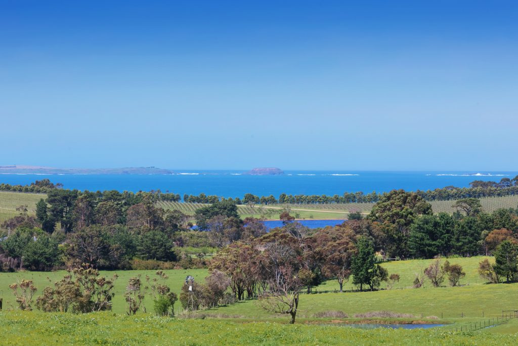 Landscape views from house