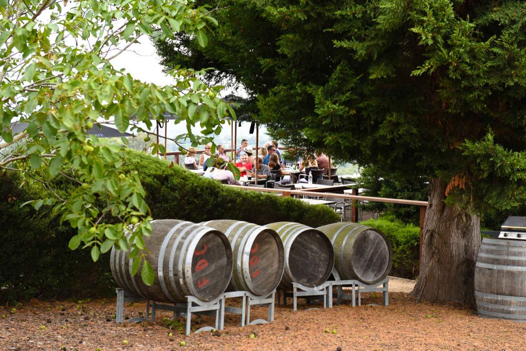 wine barrels