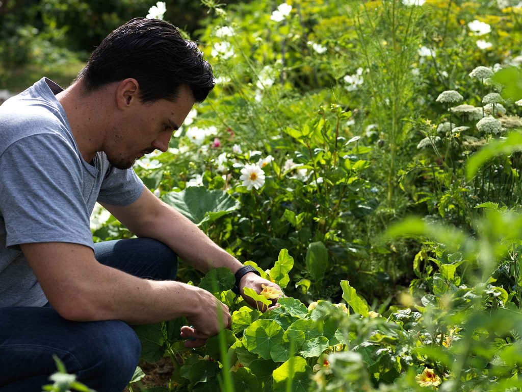 chef in kitchen garden