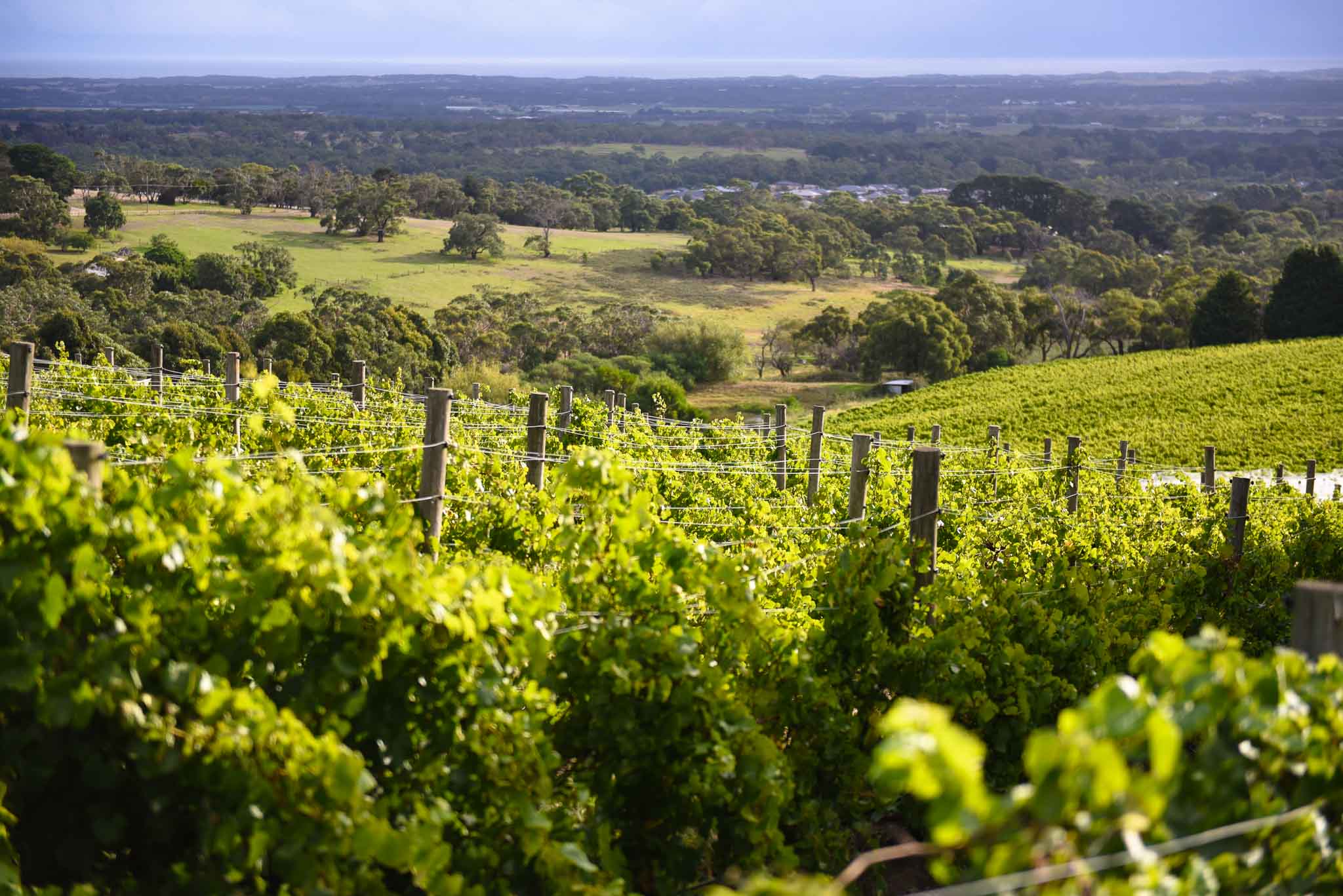 Blue Range Estate in Rosebud - Love the Peninsula