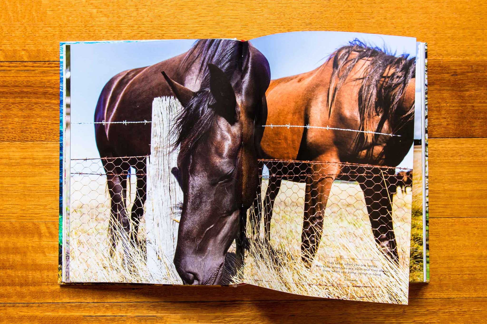 seasons book horses