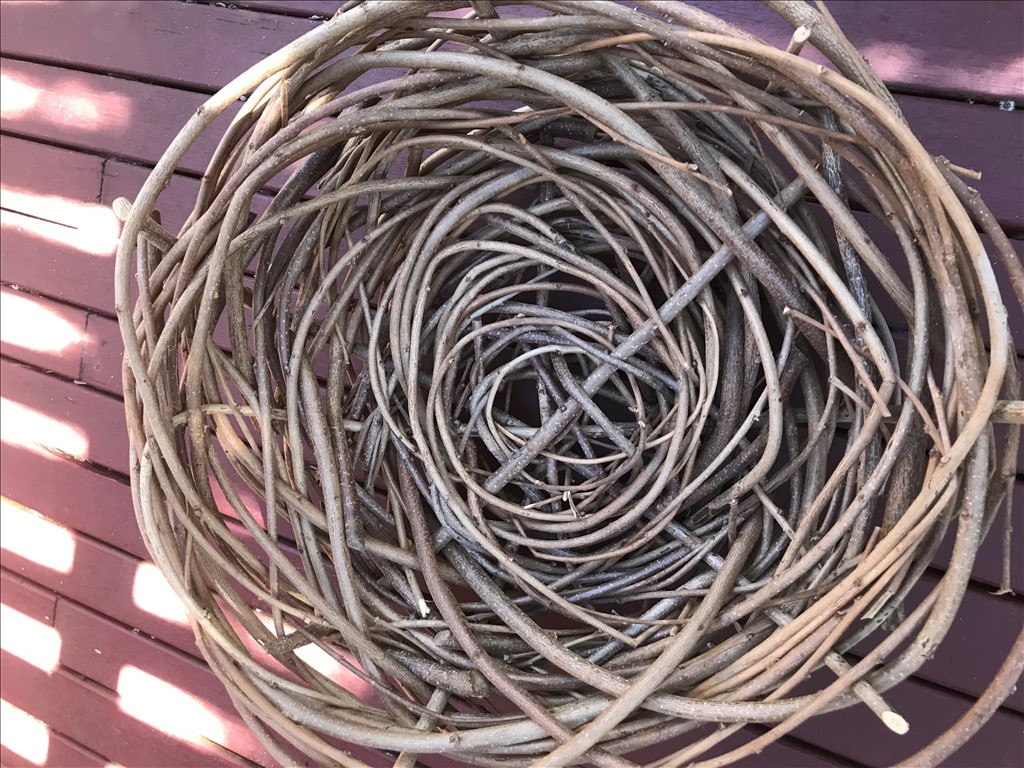 Hazelnut cane foraging basket weaving Love the Peninsula