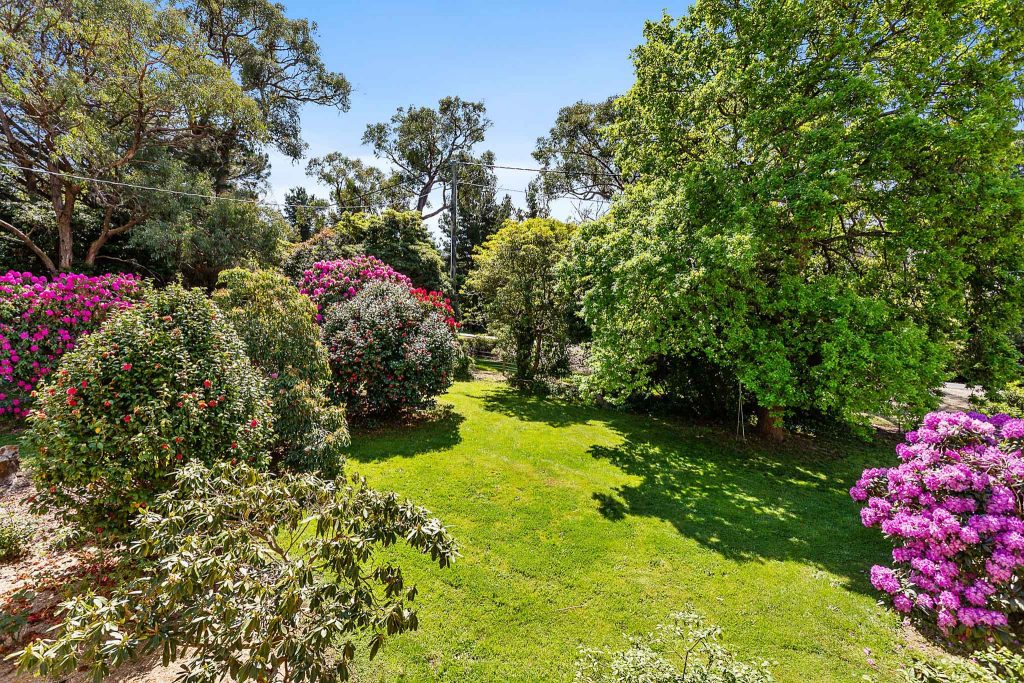 Peninsula Summer Music Festival - Love the Peninsula